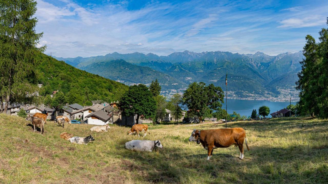 Linda E Tonin Villa Vestreno Dış mekan fotoğraf